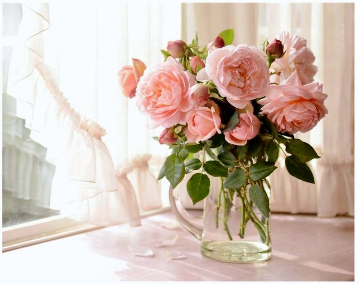 Букет роз "сделай сам": Как подрезать и расставить розы в вазе
