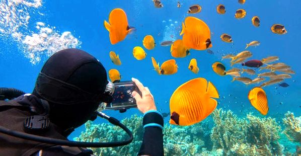 Unlock Egypt's Most Captivating Red Sea Underwater Adventures