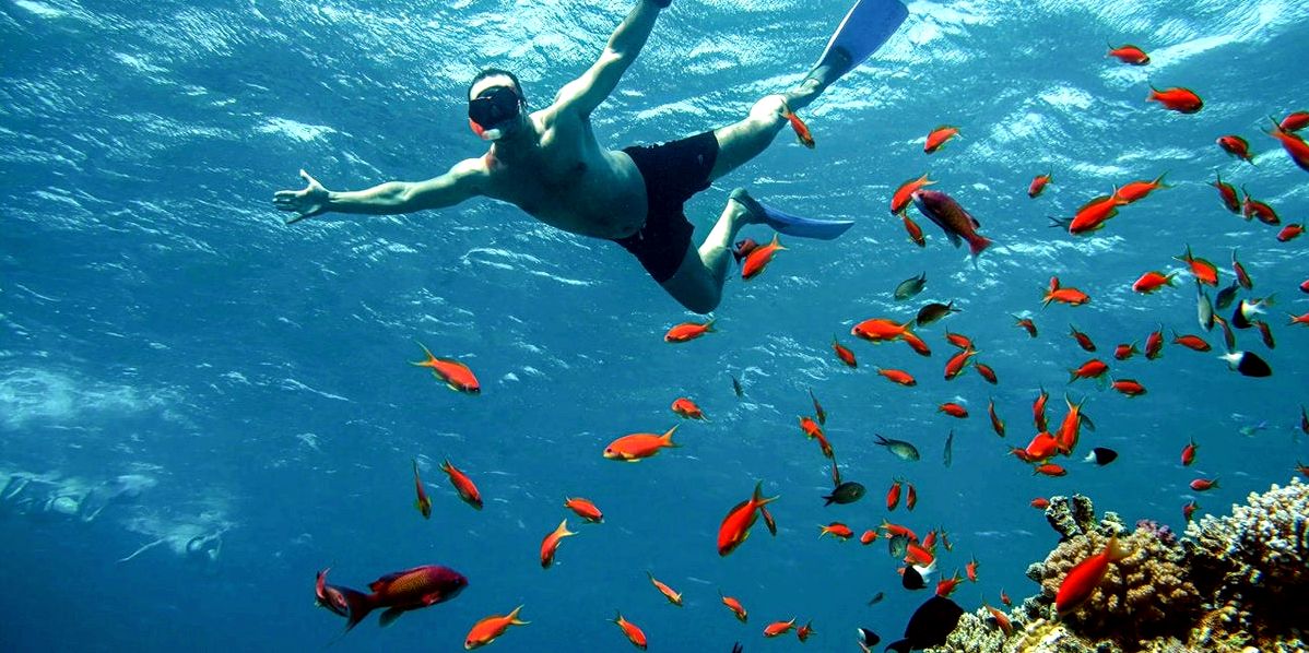 Unlock Egypt's Most Captivating Red Sea Underwater Adventures